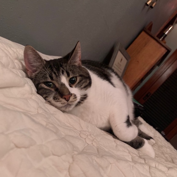 Meet the Seller ♡ - Picture 3 of 9